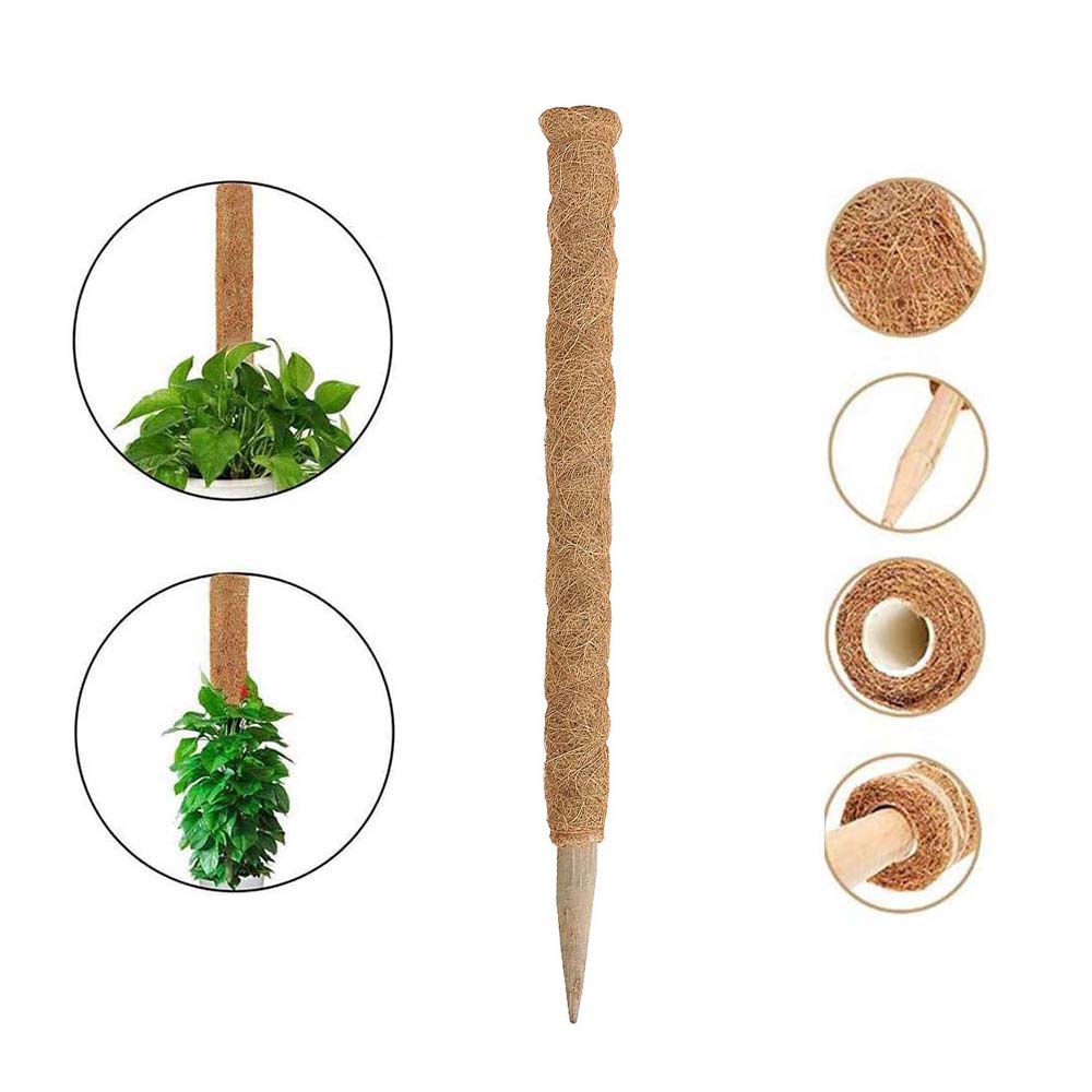 Plant Moss Stick Coco Support Stake