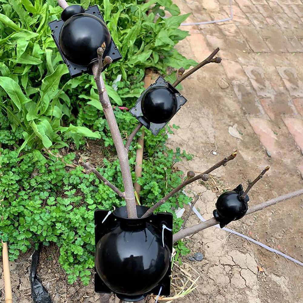Rooting Ball Propagation Garden Tool