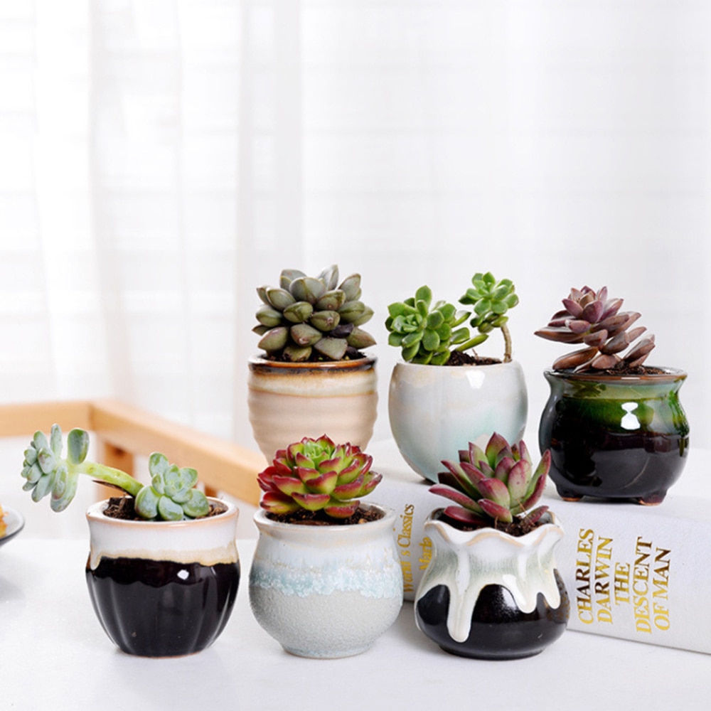 Ceramic Mini Plant Pots (6 Pcs)
