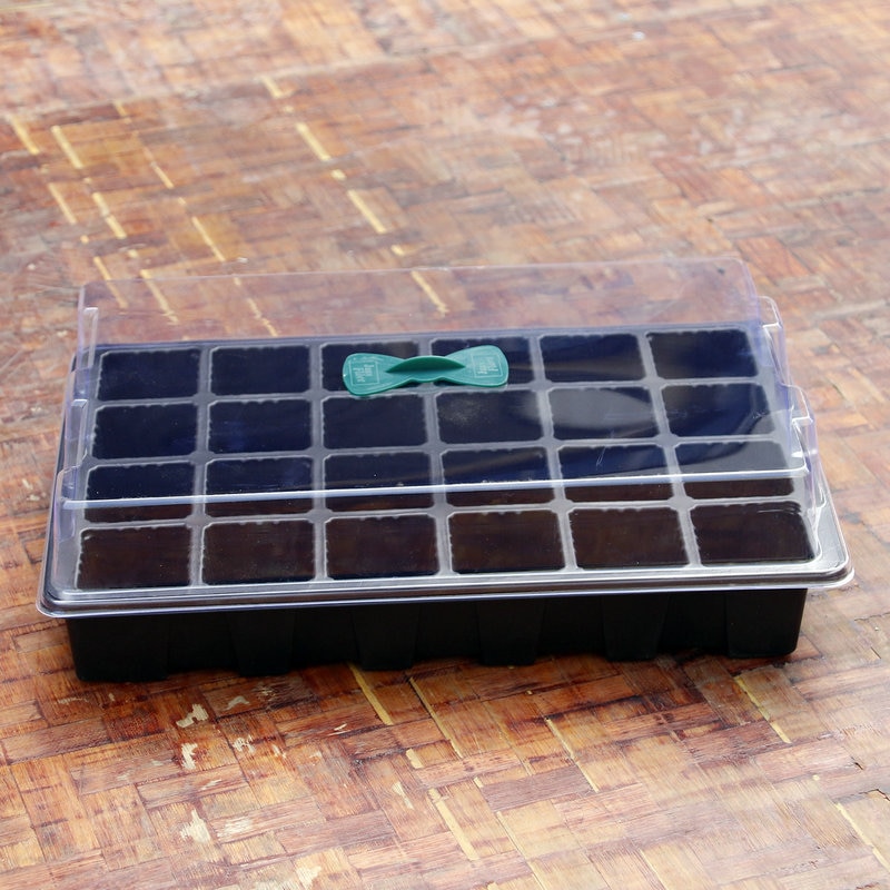 Propagation Tray 24-Cell Box with Lid