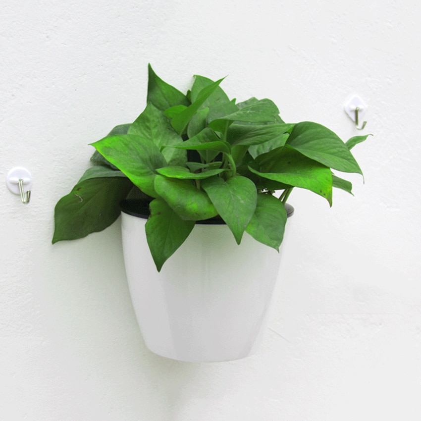 Wall Plant Pot Self-Watering Basket