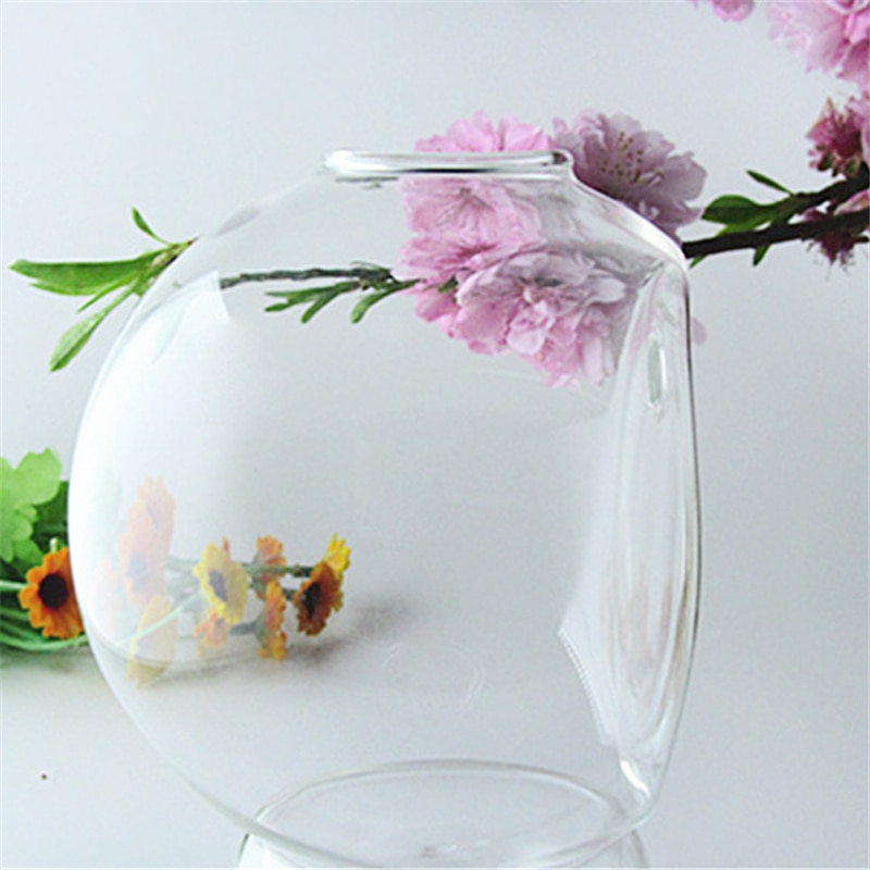 Glass Plant Pot Hanging Decor 