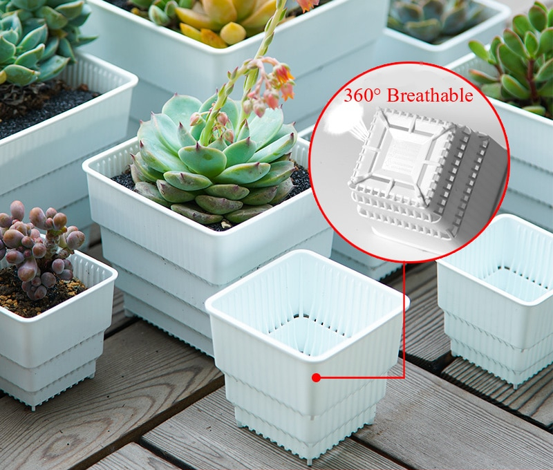 Square Plant Pots Succulent Pots (6Pcs)