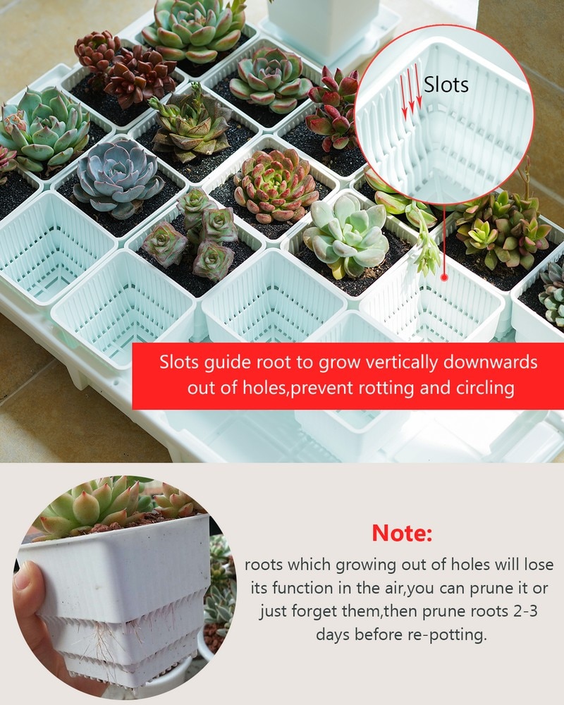 Square Plant Pots Succulent Pots (6Pcs)