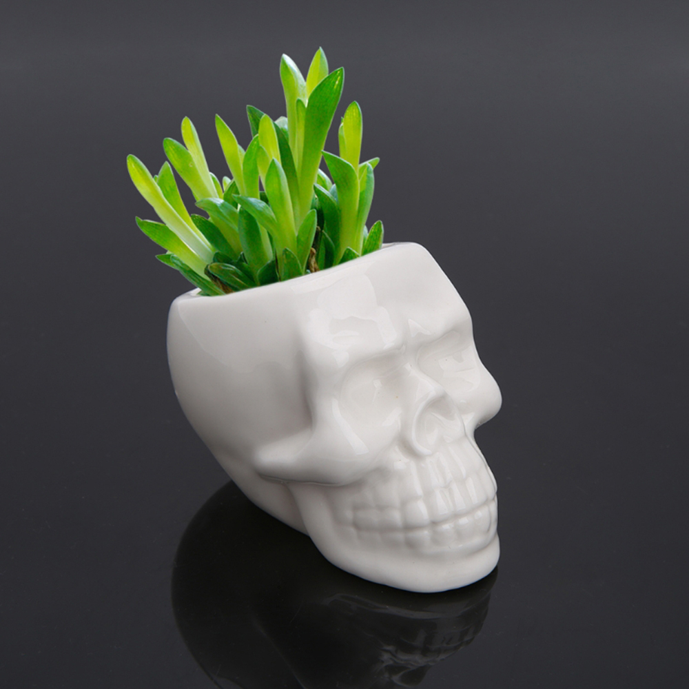 Skull Plant Pot Ceramic Decor 