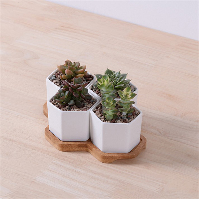 Small Planters Succulent Pots Set (4pcs)