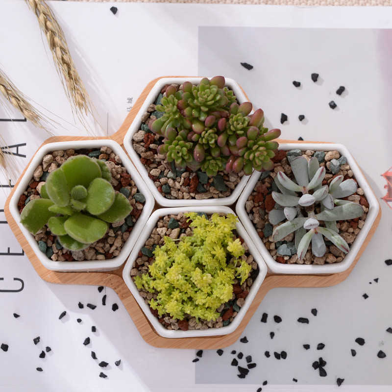 Small Planters Succulent Pots Set (4pcs)