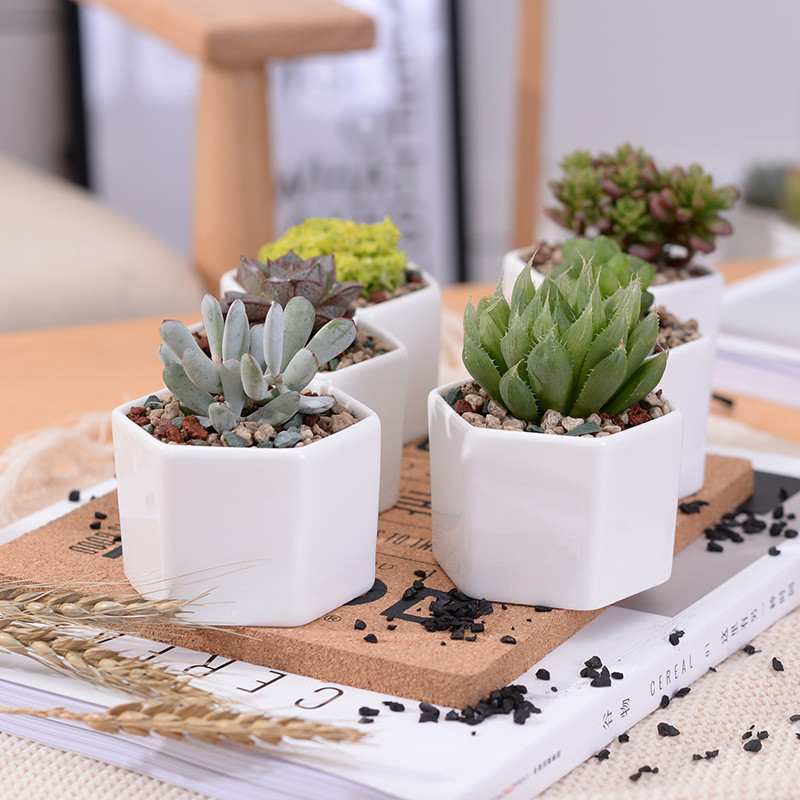 Small Planters Succulent Pots Set (4pcs)