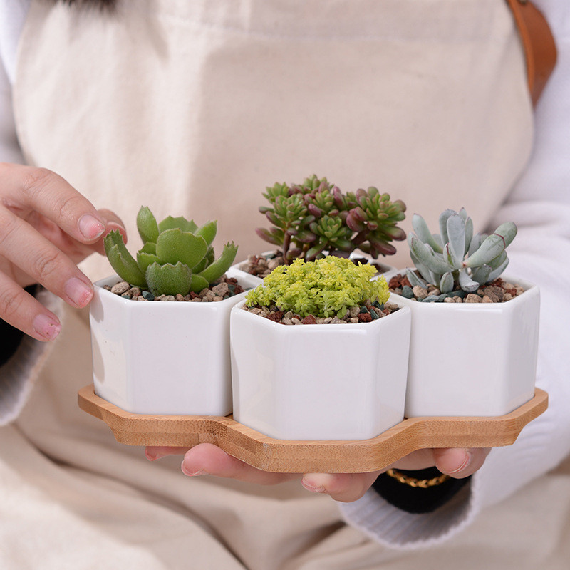 Small Planters Succulent Pots Set (4pcs)