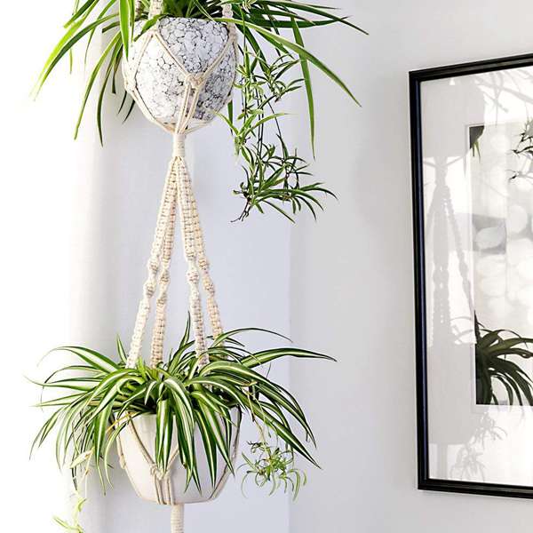 Macrame Plant Hanger Set (4pcs)