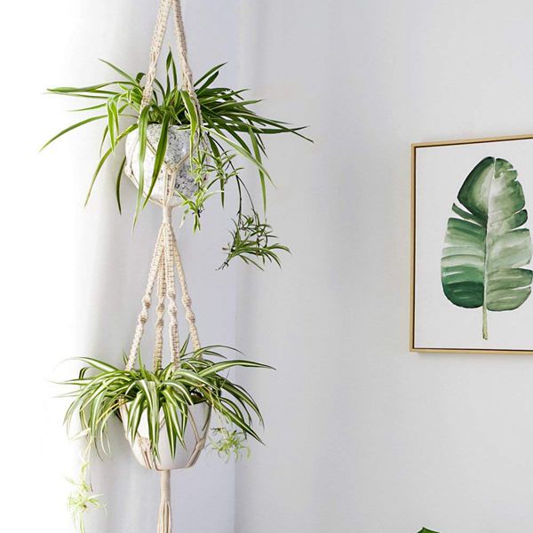 Macrame Plant Hanger Set (4pcs)