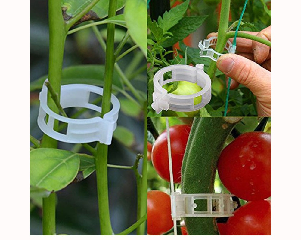 Tomato Clips Gardening Support Clamps (100 pcs)