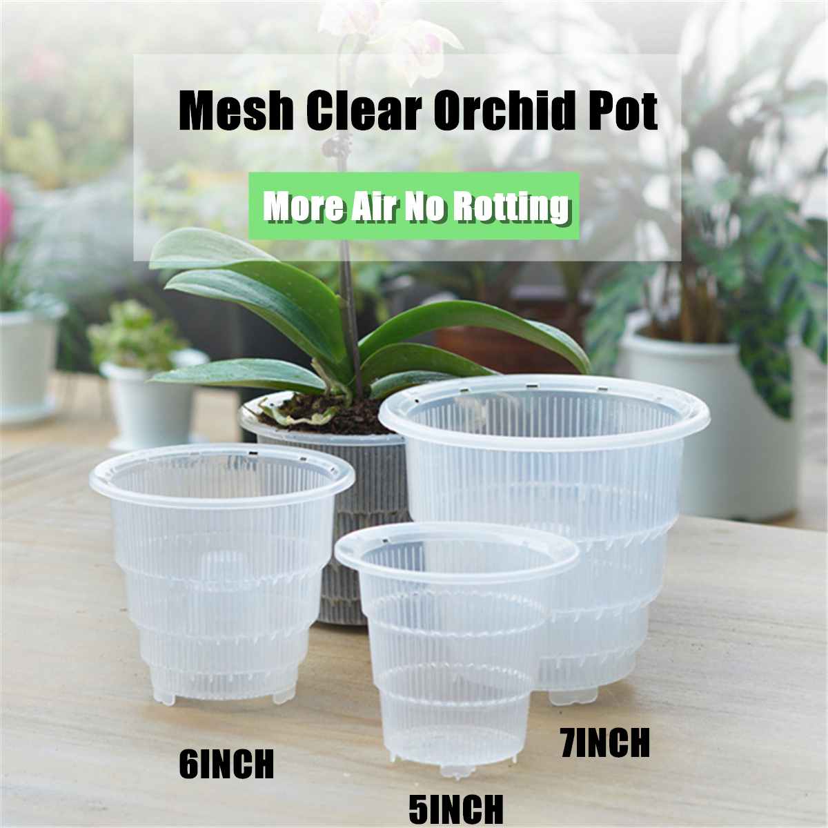 Orchid Pot Clear Plastic Pot
