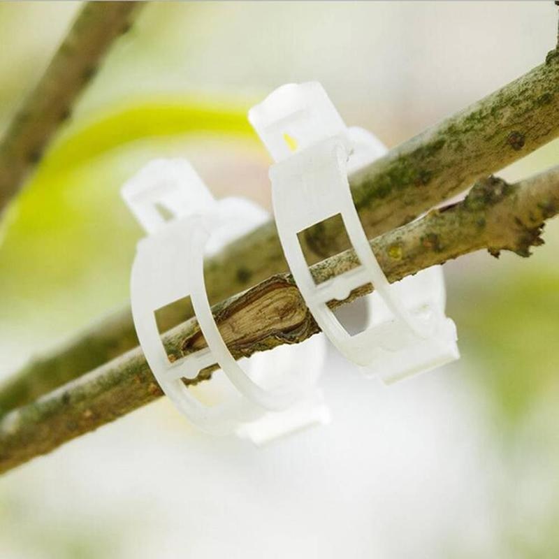 Plant Clips 50PCS Gardening Accessories