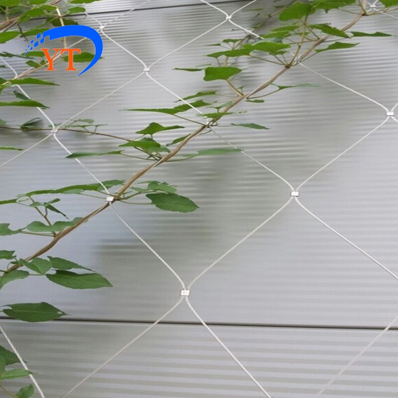 Plant Trellis Stainless Steel Wire