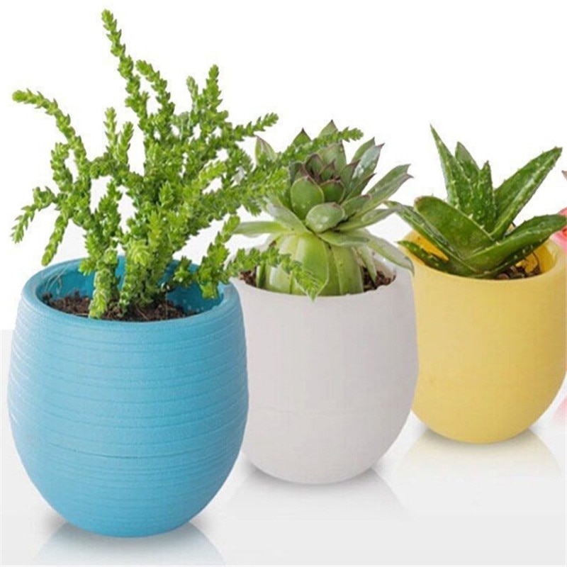 Small Plant Pots Succulent Planter