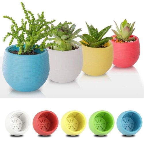 Small Plant Pots Succulent Planter