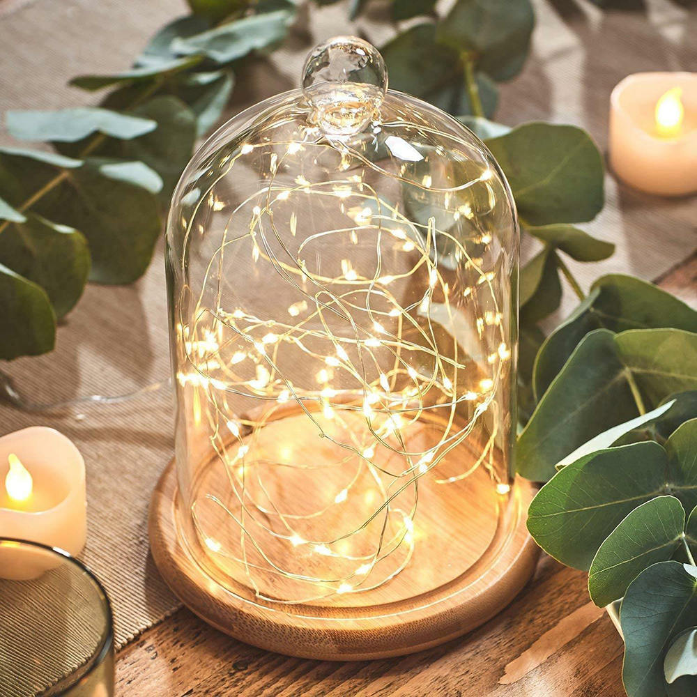 Glass Cloche Jar with Wood Base