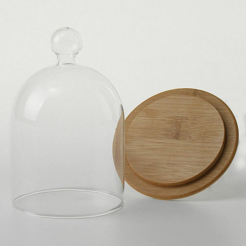 Glass Cloche Jar with Wood Base
