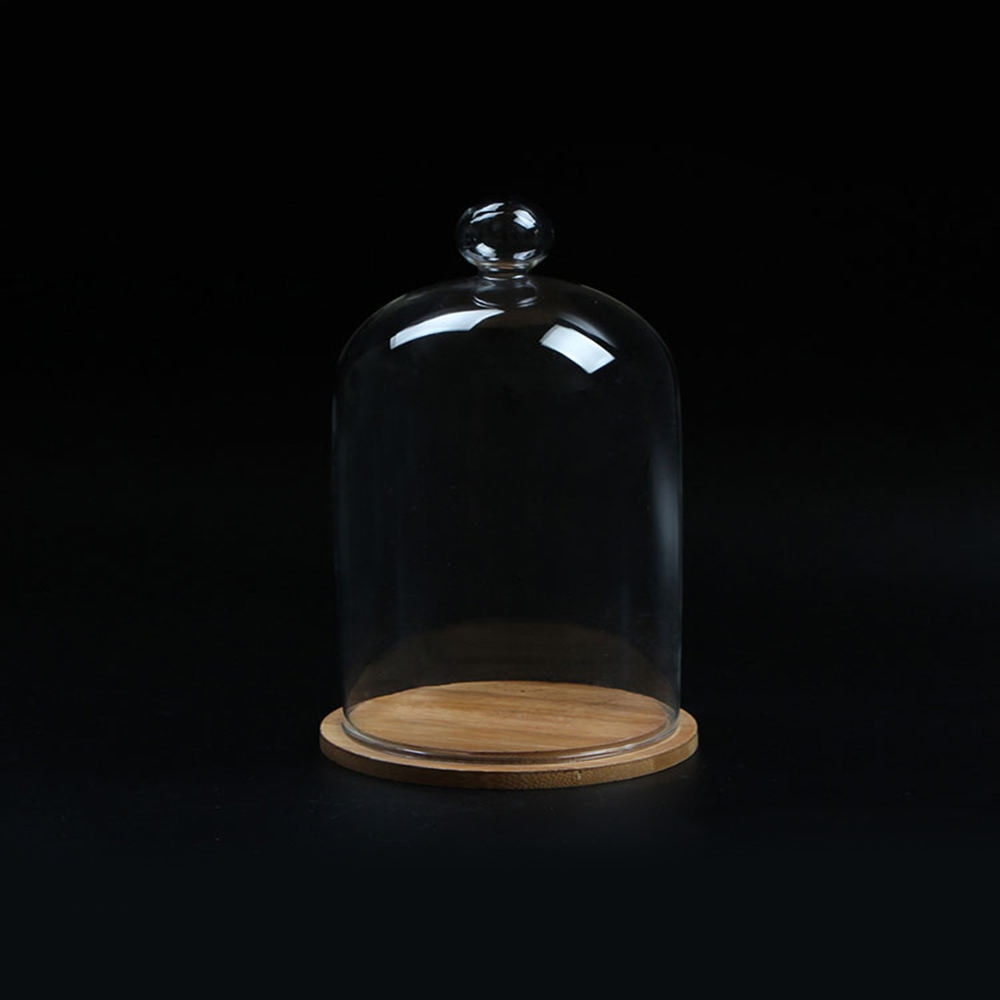 Glass Cloche Jar with Wood Base