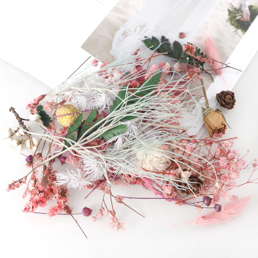 Real Dried Flowers DIY Supplies (20g)