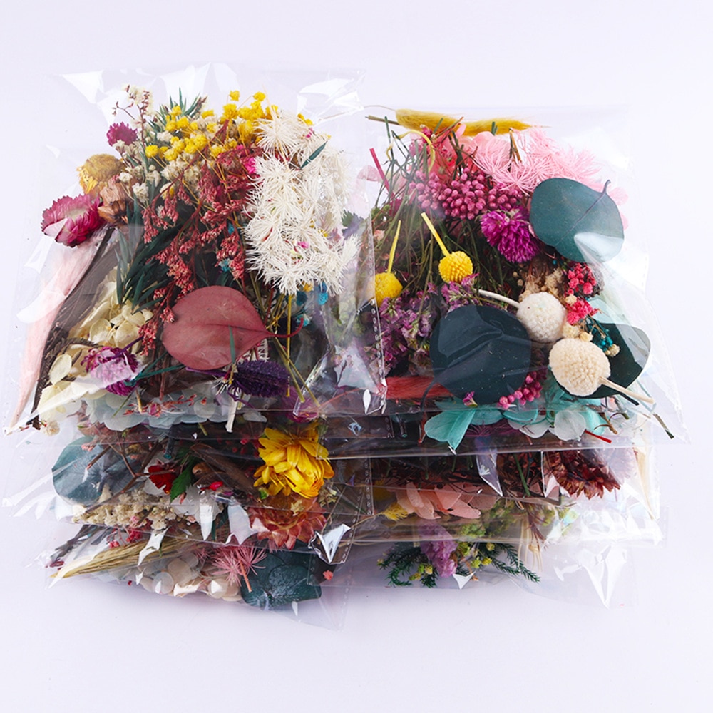 Real Dried Flowers DIY Supplies (20g)