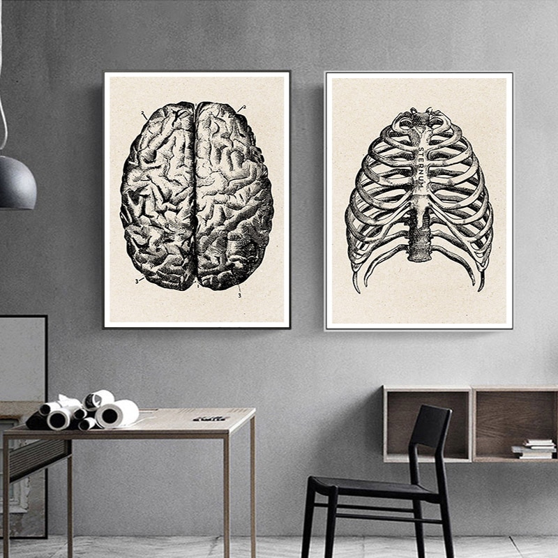 Vintage Anatomy Poster Medical Artwork