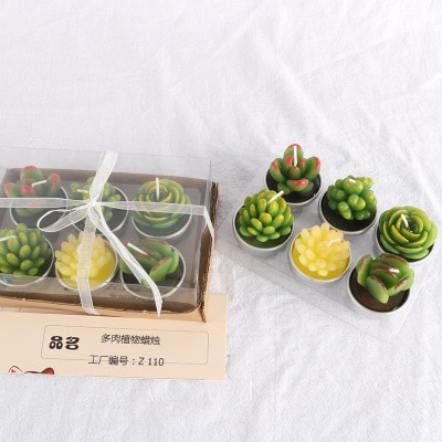 Succulent Candles Set (6pcs)