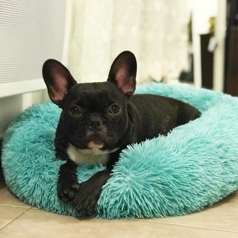 Fluffy Pet Bed Soft Round Pet Bed