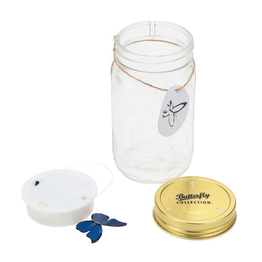 Butterfly Jar LED Novelty Decor