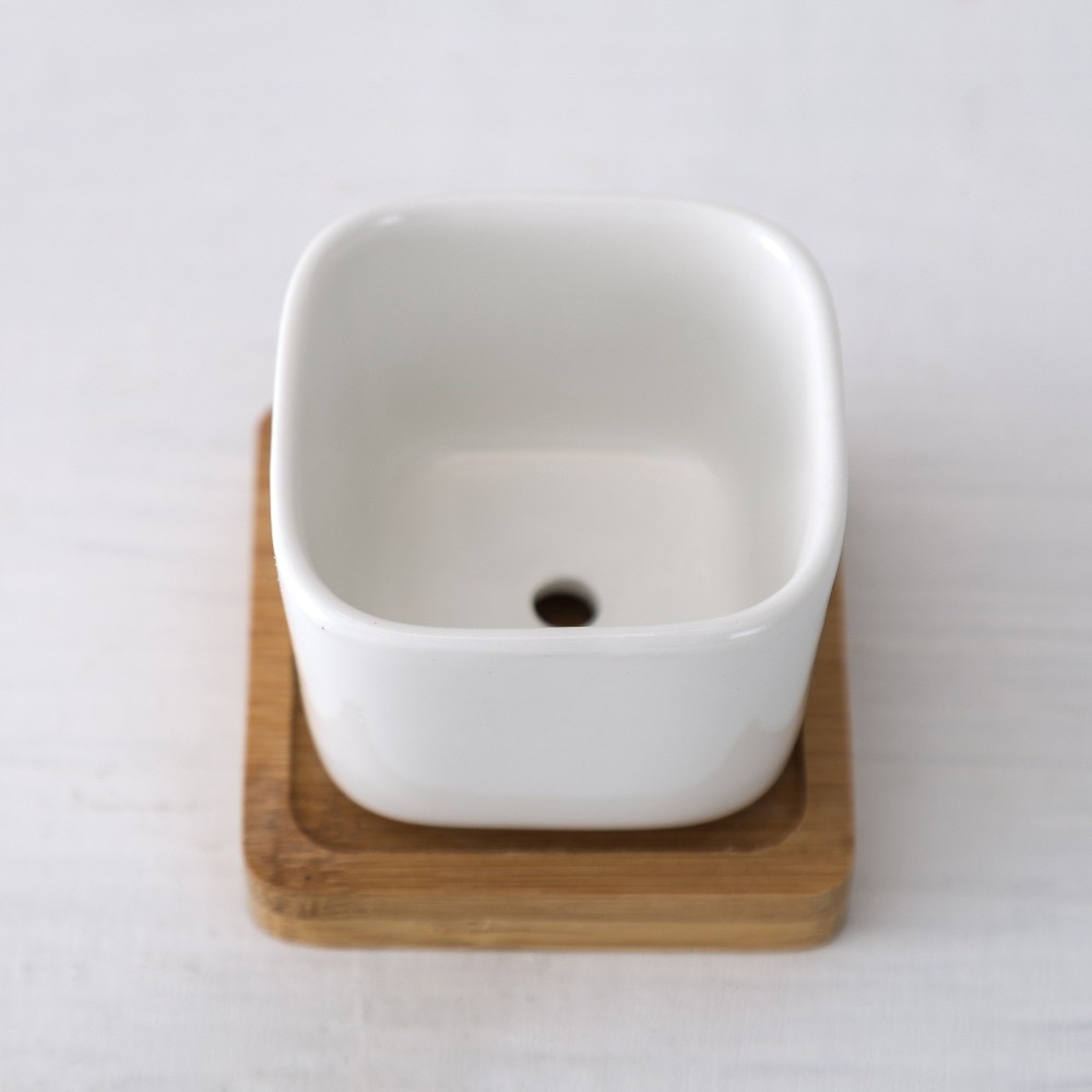 White Ceramic Pots Gardening Set (2pcs) 