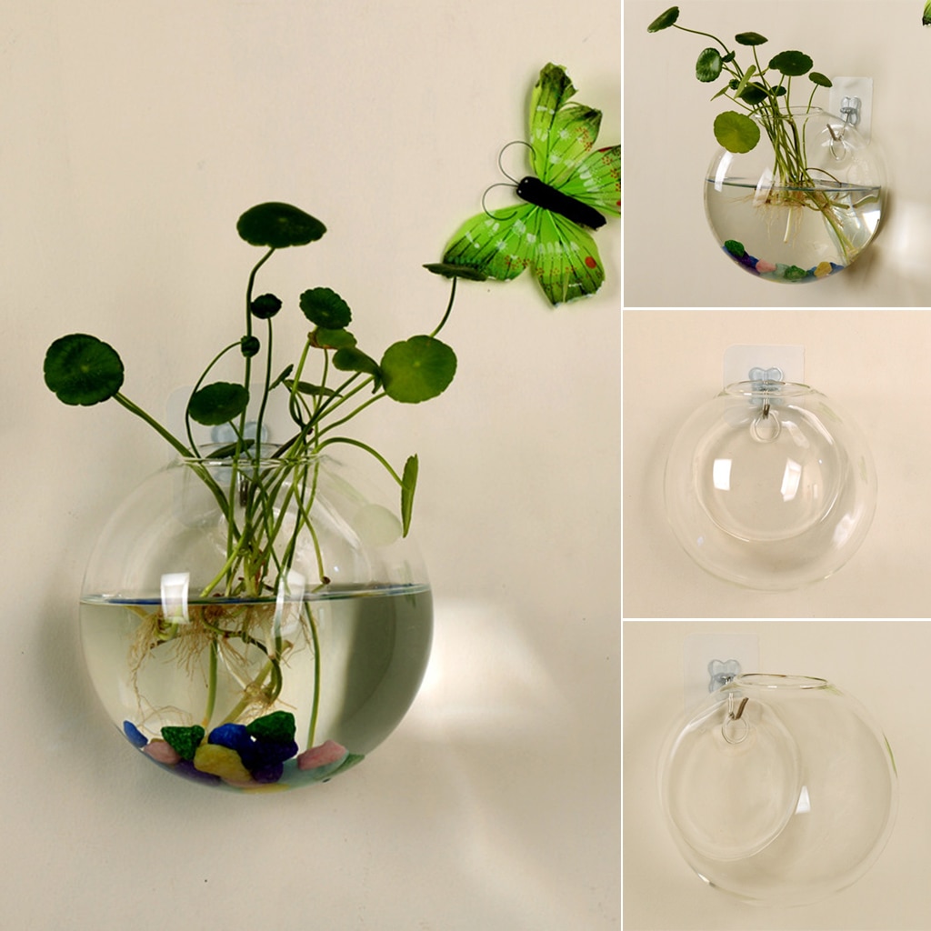 Glass Wall Vase Stylish Planter