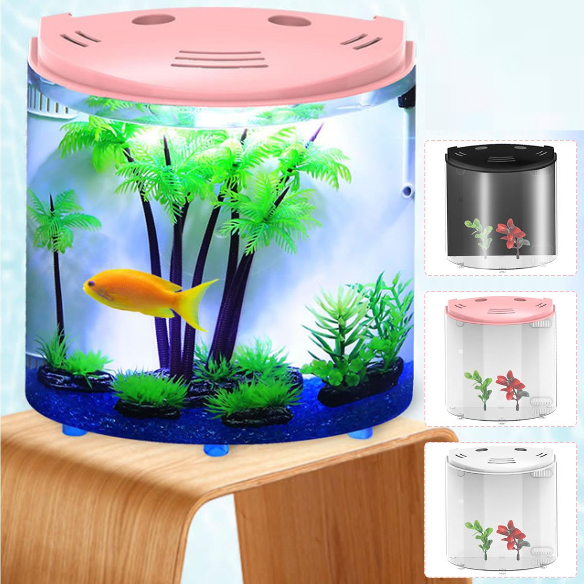 Small Fish Aquarium with USB Light