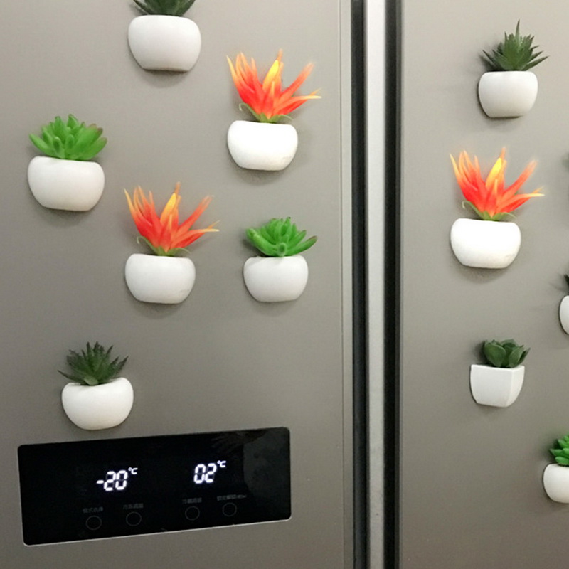 Ref Magnet Mini Plants Magnet