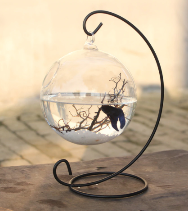 Fish Bowl Vase Hanging Glass