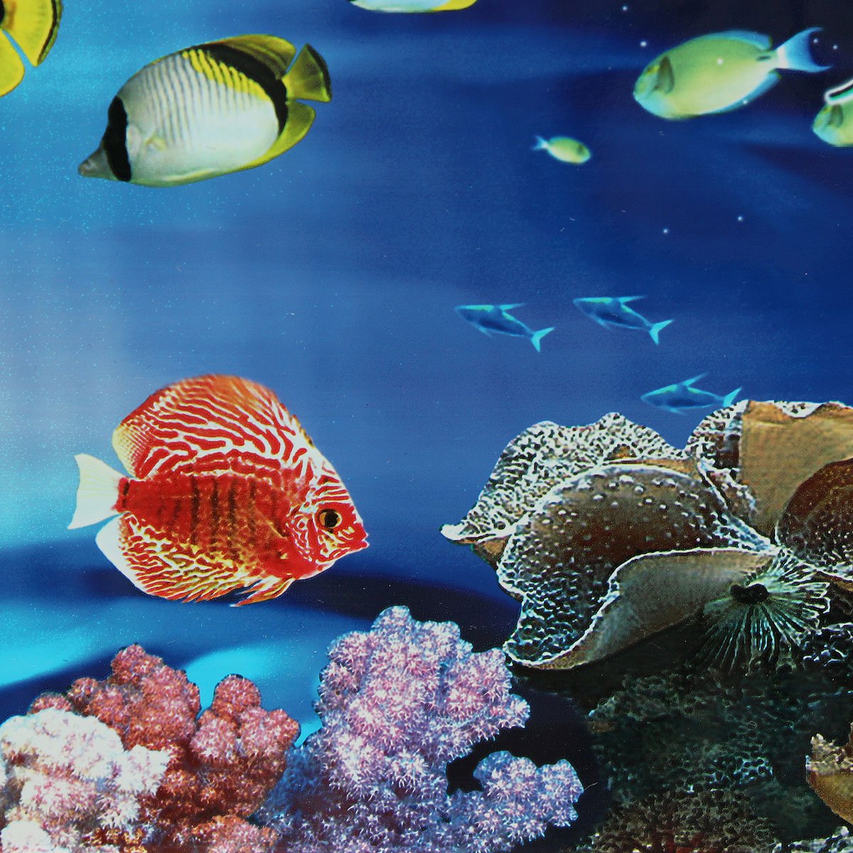 Aquarium Backgrounds Double-Sided Poster
