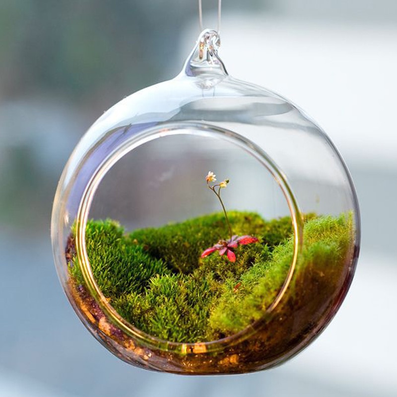 Hanging Terrarium Glass Garden Ornament