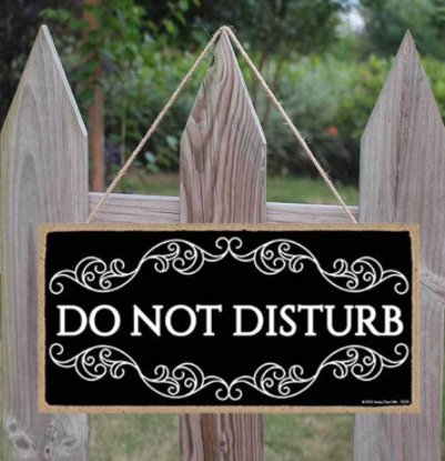 Do Not Disturb Sign Decoration