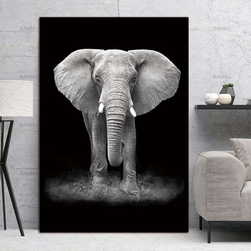 Top Selling Animal Canvas Wall Art