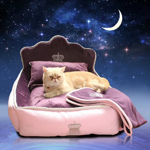 Washable Luxury And Fancy Elevated Pet Beds