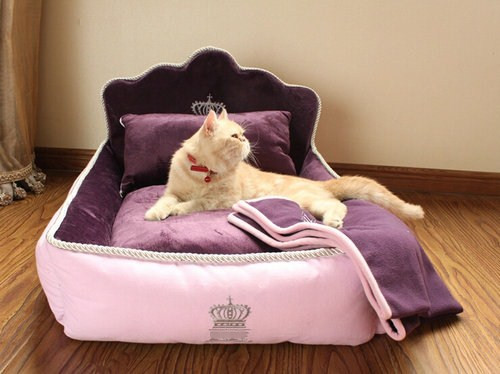 Washable Luxury And Fancy Elevated Pet Beds