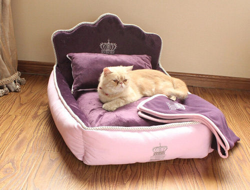 Washable Luxury And Fancy Elevated Pet Beds