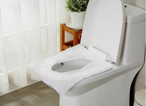 Disposable Travel Toilet Seat Covers (50pcs)