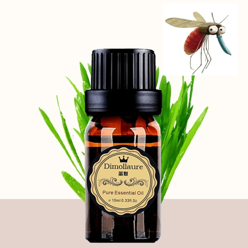 Citronella Oil Plant Essential Oil