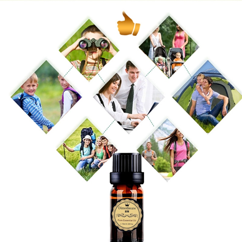 Citronella Oil Plant Essential Oil