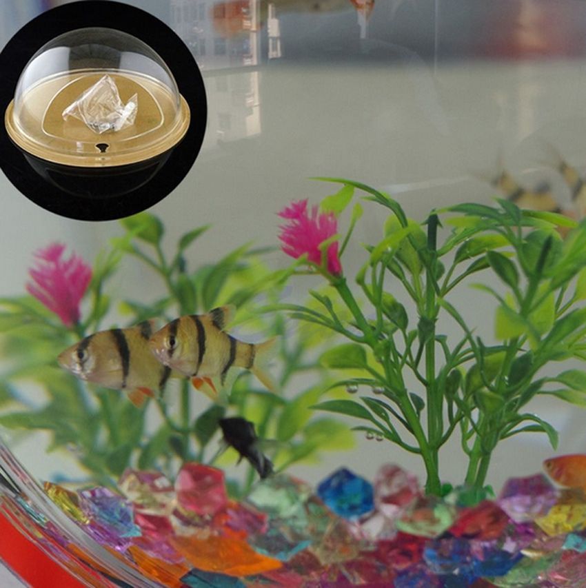 Wall Mounted Fish Tank Acrylic Bowl