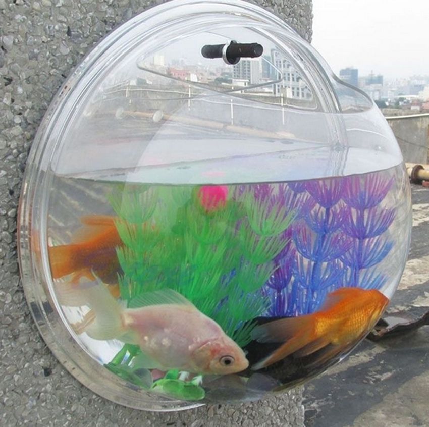 Wall Mounted Fish Tank Acrylic Bowl