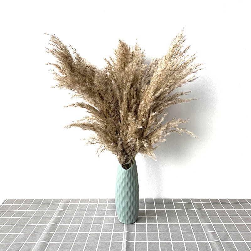 Dried Pampas Grass Decor with Vase