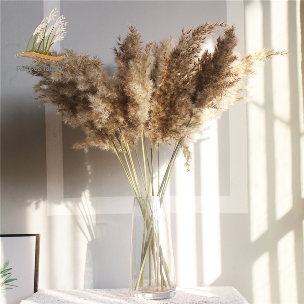 Dried Pampas Grass Decor with Vase