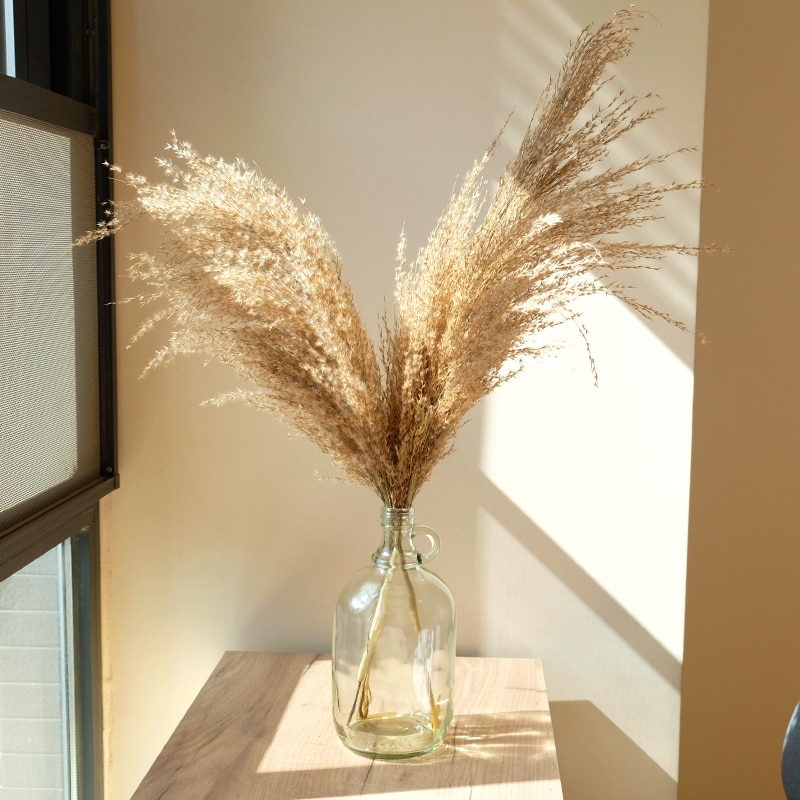 Dried Pampas Grass Decor with Vase